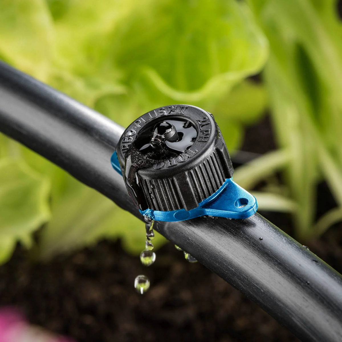 Blue Dripper Micro Dripper Turbo Plus 4mm Barbed 2L/h, Blue - Perth Irrigation ...