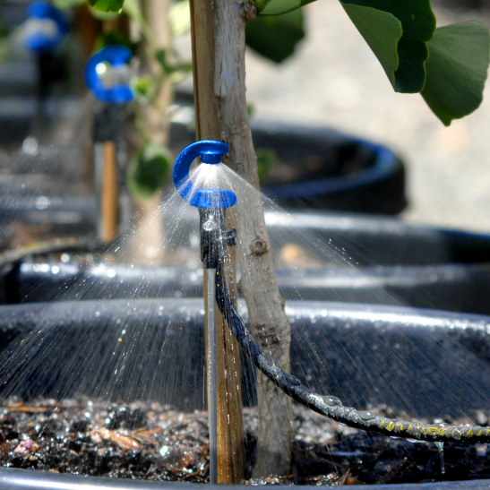 Micro Spray CFD 0.8mm Black head only 15 - 20 lph