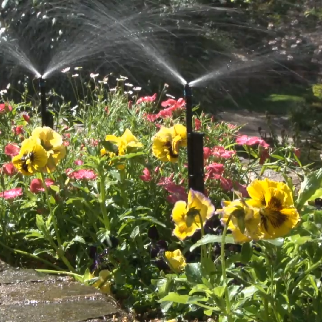 Winged Strip Spray Jet 40° (Blue Base) 2 x 20° Strips, 33L/h