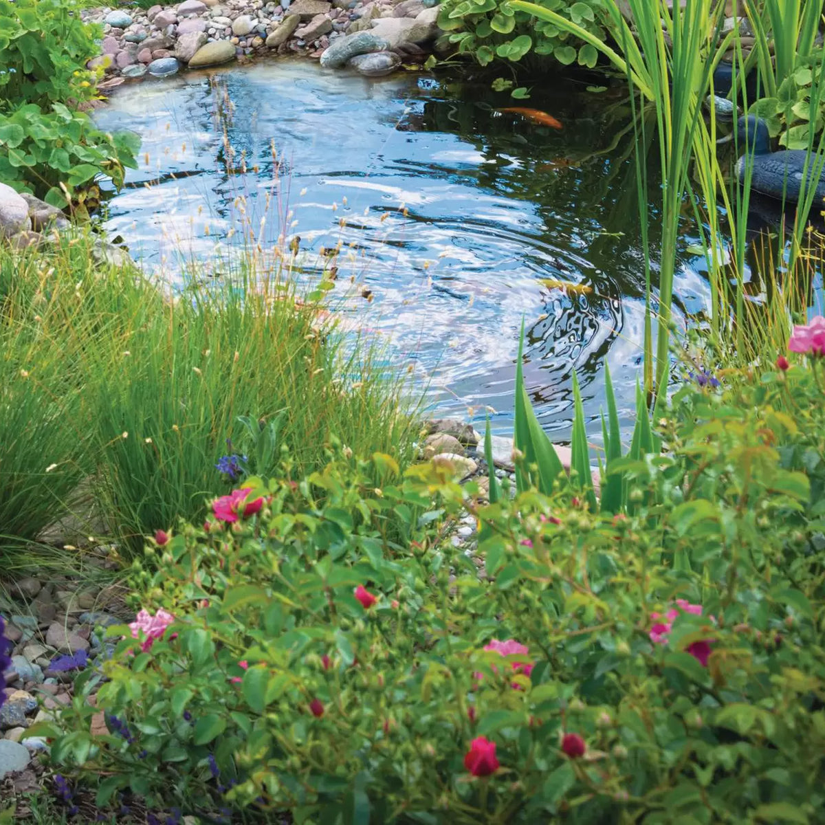 oase aquamax eco classic 3500 e application