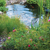 oase aquamax eco classic 3500 e application