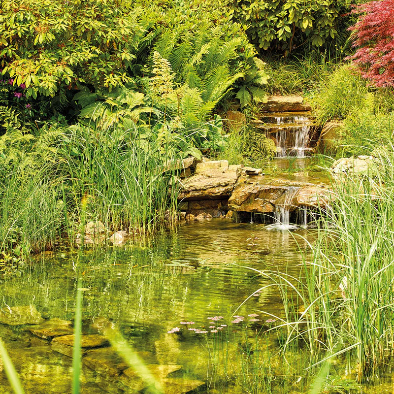 Pond Pump Oase Aquamax Eco Classic 8500