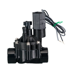 Valve Rain Bird DVF 1" (25mm) BSP