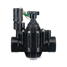 Valve Rain Bird PGA Globe 1 1/2" (40mm) BSP