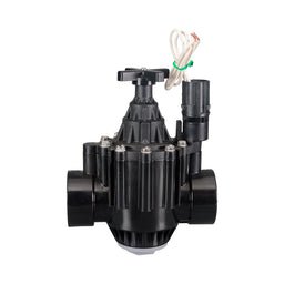 Valve Rain Bird PGA Globe 2" (50mm) BSP