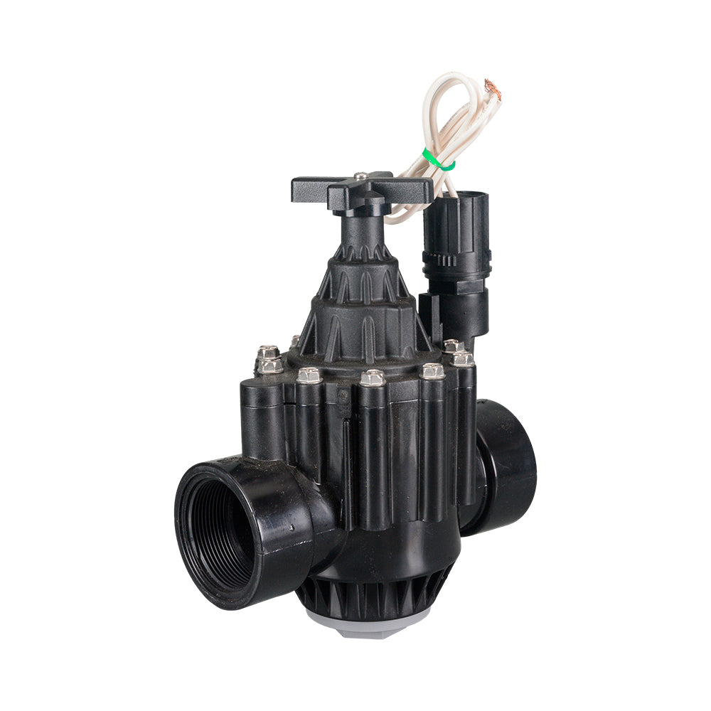 Valve Rain Bird PGA Globe 2" (50mm) BSP