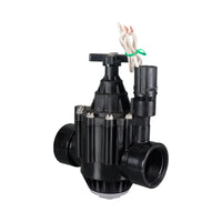 Valve Rain Bird PGA Globe 2" (50mm) BSP