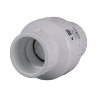 PVC Swing Check Valve 80mm