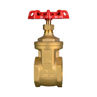 Brass Gate Valve 32mm (1 1/4") BSP